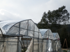 f0055264_021486.jpg