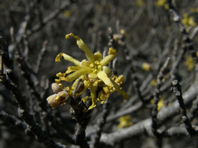 c0042869_20213517.jpg