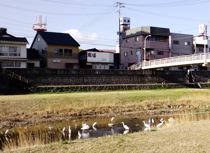 c0069372_9222564.jpg