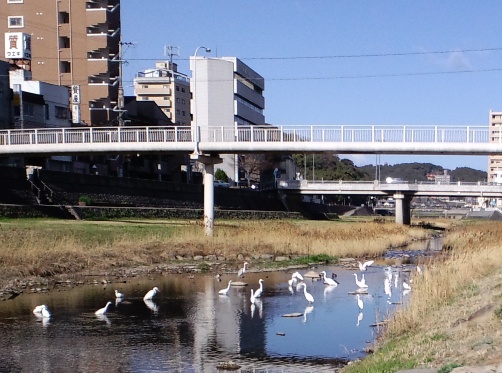 c0069372_985726.jpg