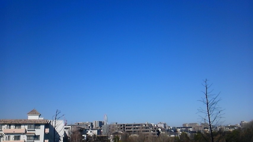 c0061774_2153163.jpg