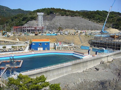 d0114583_17364542.jpg