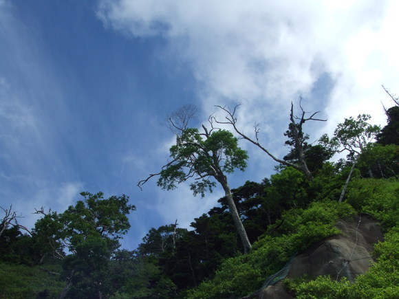 a0186689_23591050.jpg