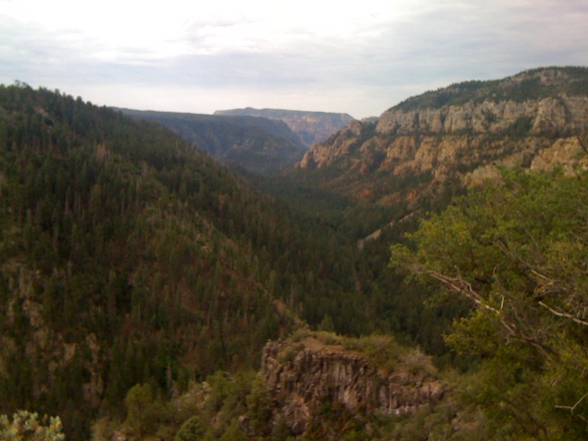 c0010794_21201937.jpg