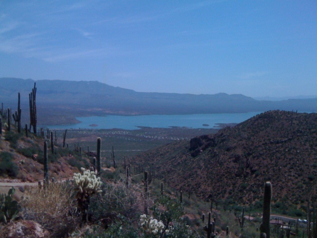 c0010794_21214044.jpg
