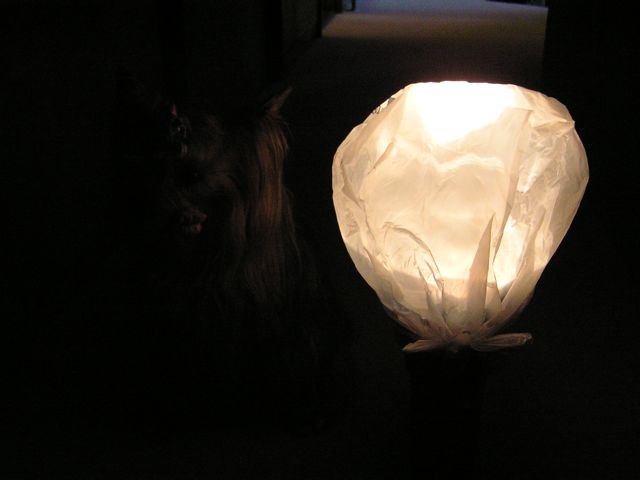 f0130894_2111034.jpg