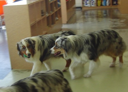 f0077697_18453193.jpg