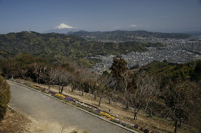 a0188405_20482980.jpg