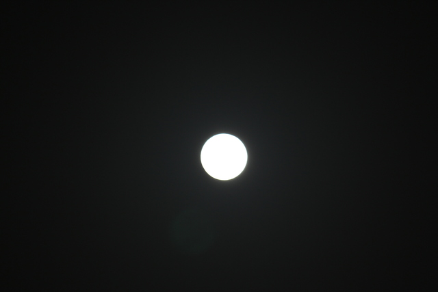 d0149105_19555293.jpg