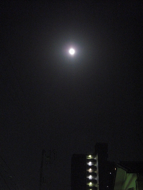 a0060806_22102135.jpg