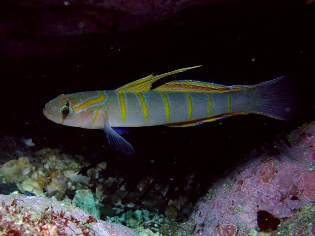 d0175710_10255932.jpg