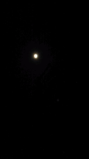 c0141313_328729.jpg