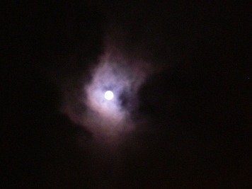f0133814_7583281.jpg