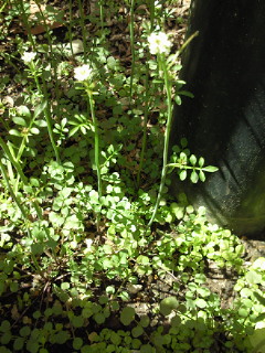 b0007421_22275914.jpg
