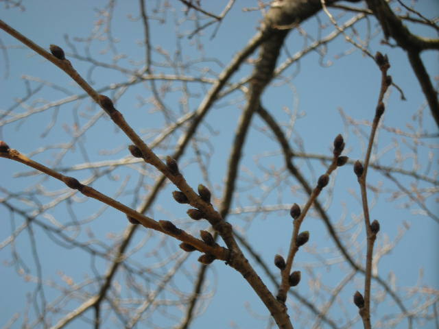 c0155326_7374521.jpg