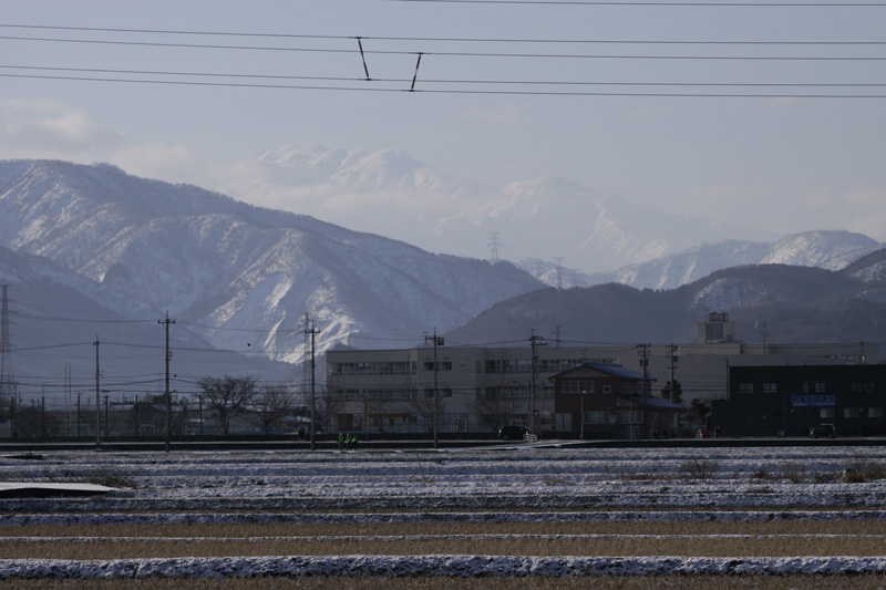 b0177233_528259.jpg
