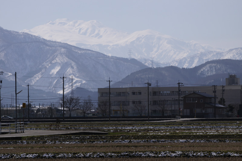 b0177233_529855.jpg