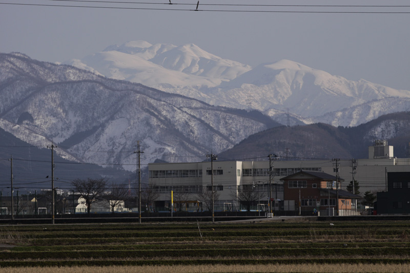 b0177233_5302880.jpg