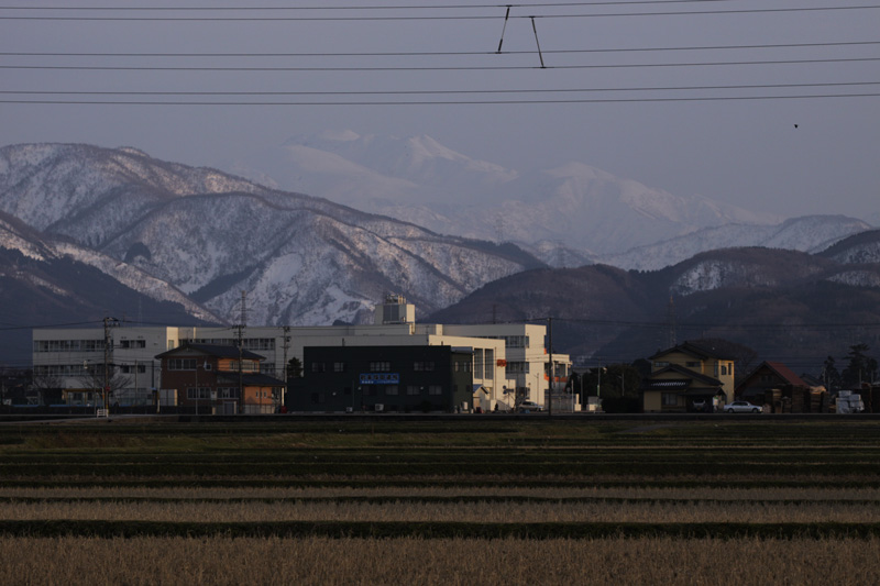 b0177233_5305950.jpg