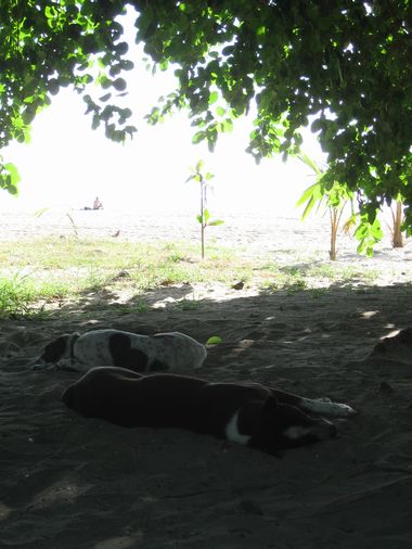c0148238_2371558.jpg