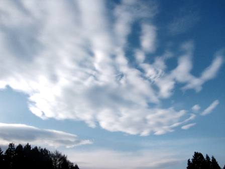 c0204740_11343594.jpg