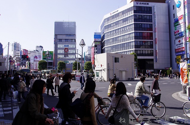 a0009142_19443147.jpg