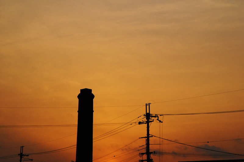 d0018646_2231097.jpg