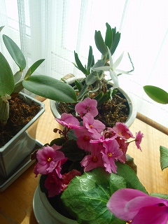 e0004756_2117302.jpg