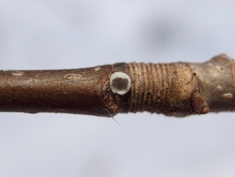 b0130166_2022339.jpg