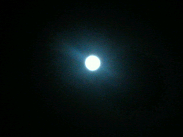 c0058978_21355110.jpg
