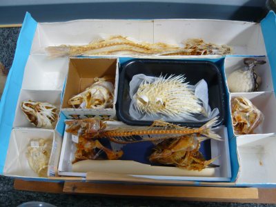 c0024502_1735441.jpg