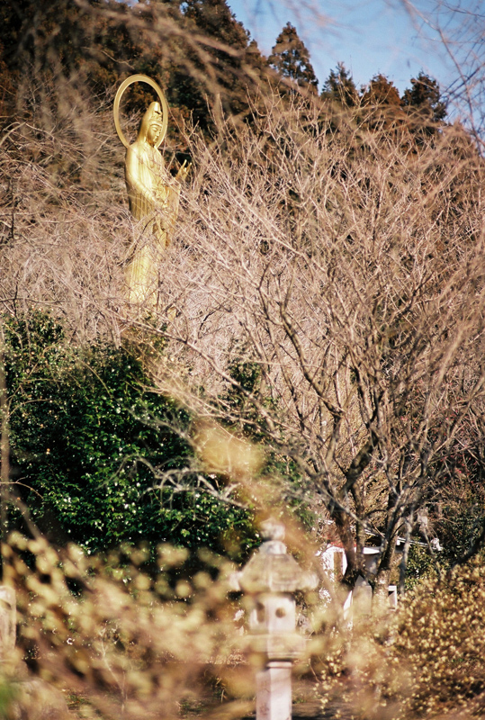 a0189203_20234518.jpg