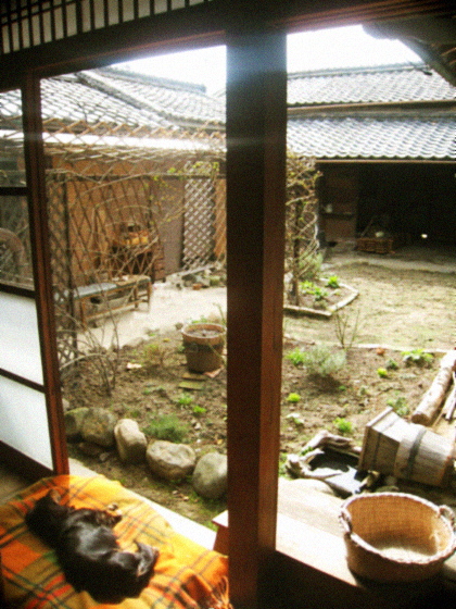 d0077603_20564349.jpg