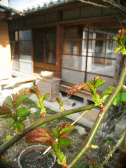 d0077603_2057773.jpg