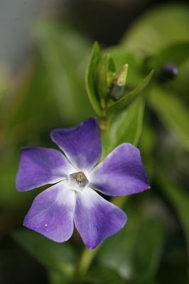 a0188405_11124247.jpg