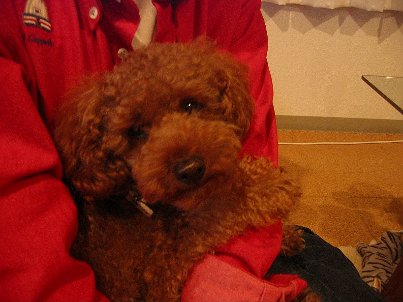 c0110906_1531970.jpg
