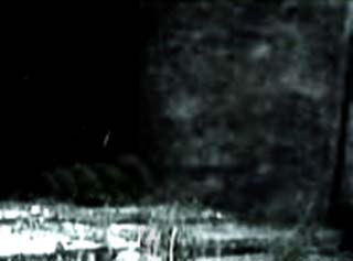 e0103408_140535.jpg