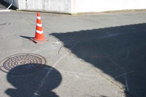 a0159009_19554322.jpg