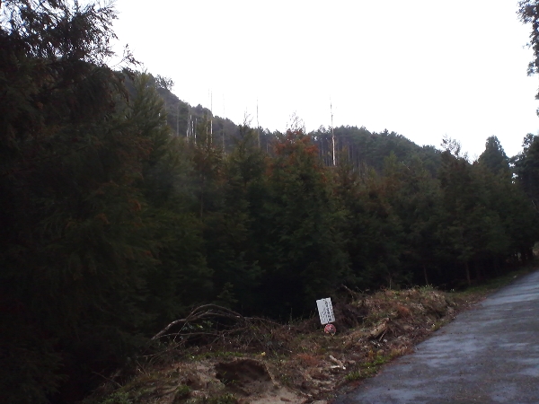e0002314_16102729.jpg