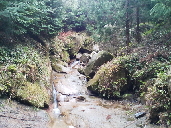 e0002314_164304.jpg