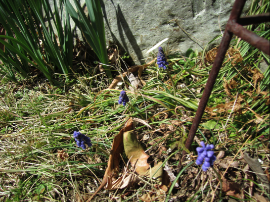 c0219815_1229527.jpg