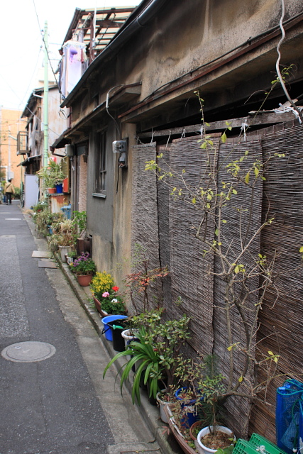 b0061717_13324034.jpg