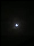 f0126417_1237827.jpg