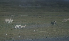b0191418_12365519.jpg