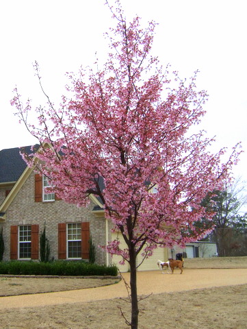 c0151122_14701.jpg