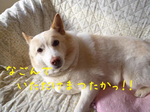 b0138430_19272857.jpg