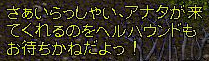 c0184233_21204196.jpg