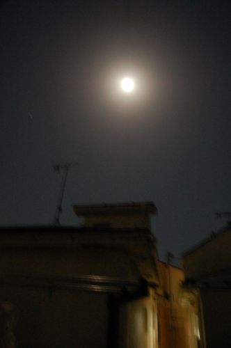 c0111535_2231353.jpg