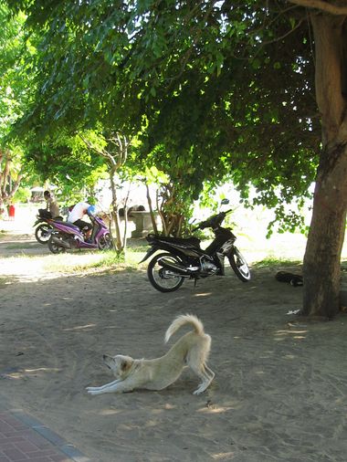 c0148238_12284326.jpg