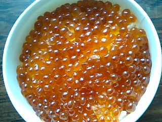 c0117239_841679.jpg